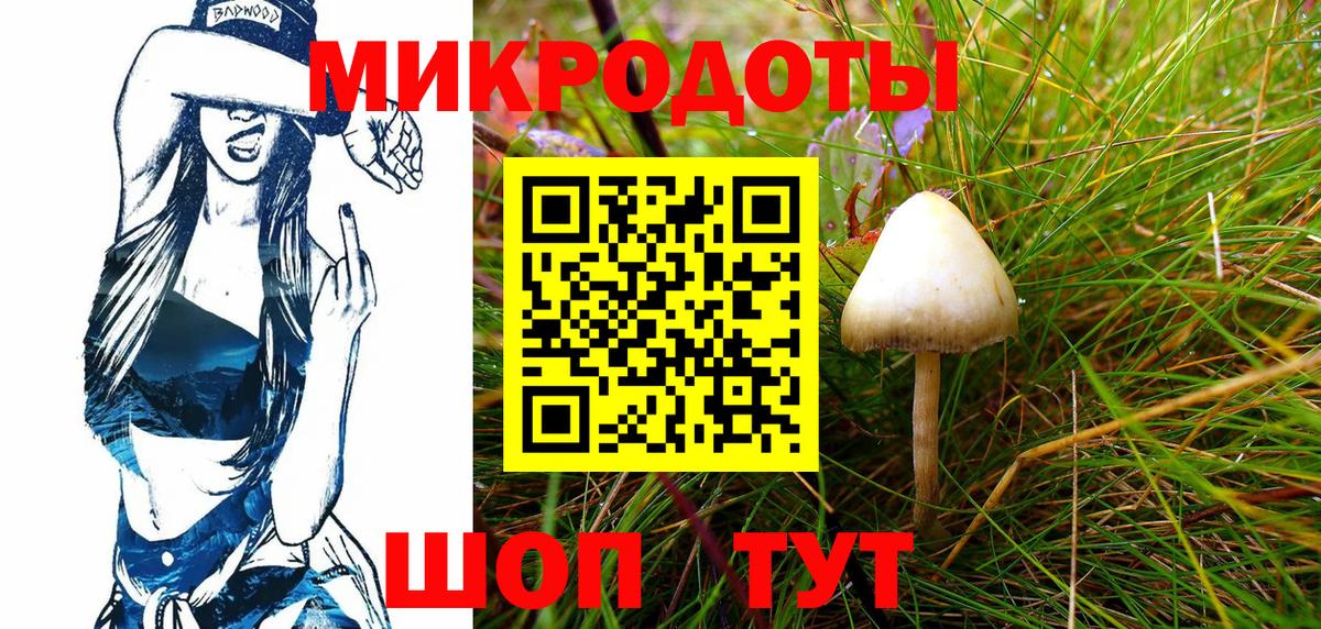 Галлюциногенные грибы MAGIC MUSHROOMS  Вход с VPN  Отрадное  Псилоцибиновые грибы Cubensis 