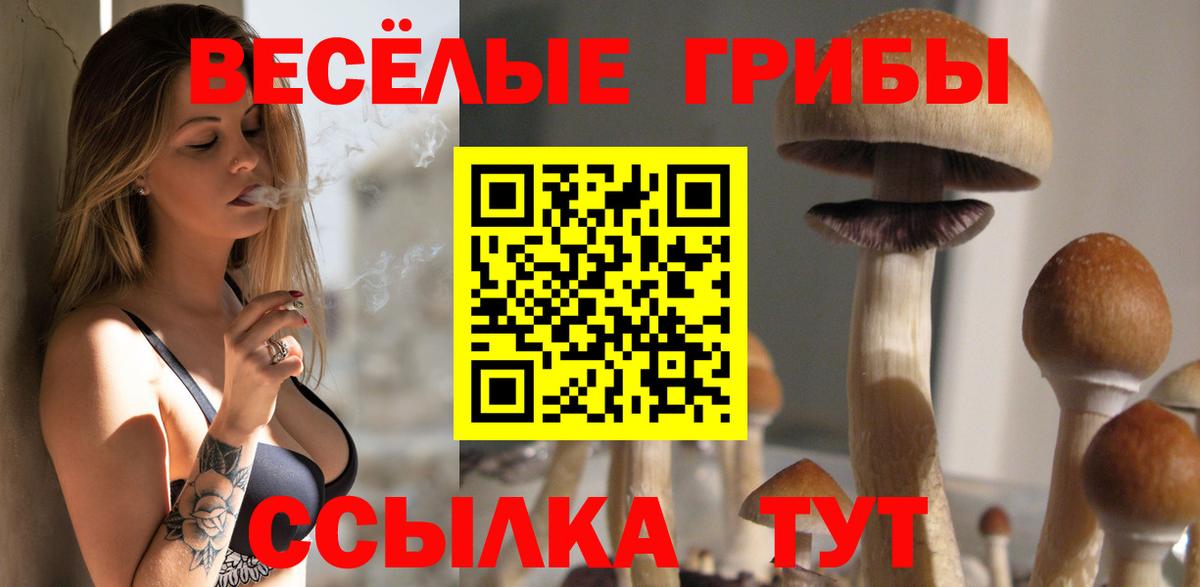 Галлюциногенные грибы мухоморы Отрадное